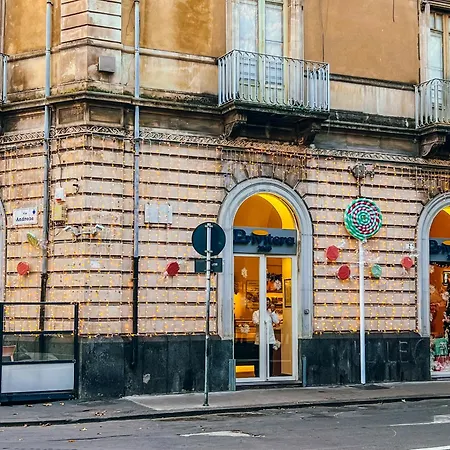 Toctoc - Cozy Flowers Daire