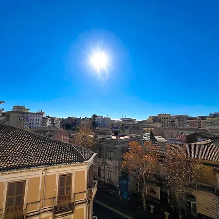 Toctoc - Cozy Flowers * Katanya