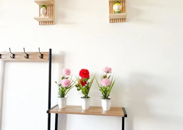 Toctoc - Cozy Flowers