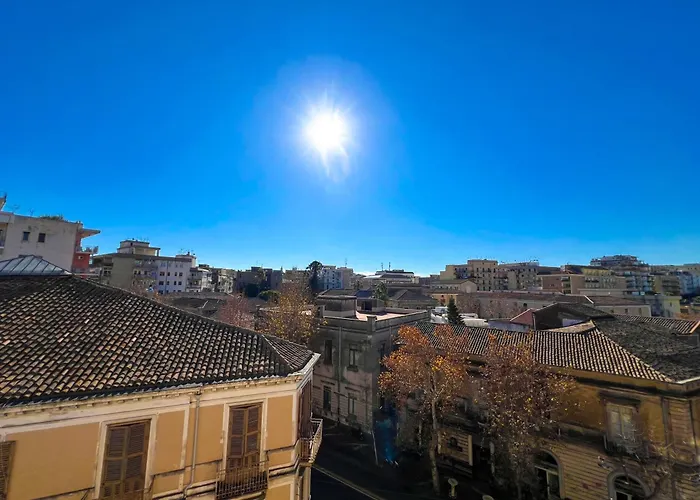 Toctoc - Cozy Flowers * Katanya